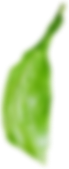 decor-5